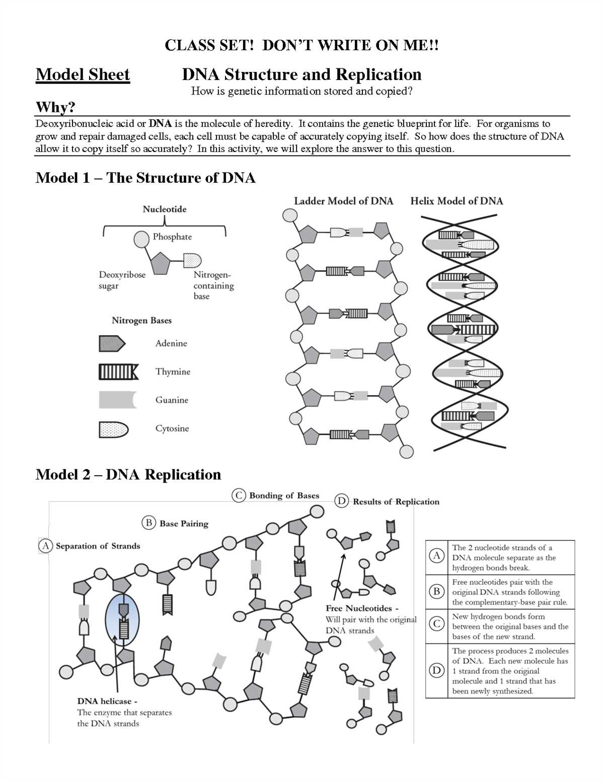 Function of DNA in Heredity
