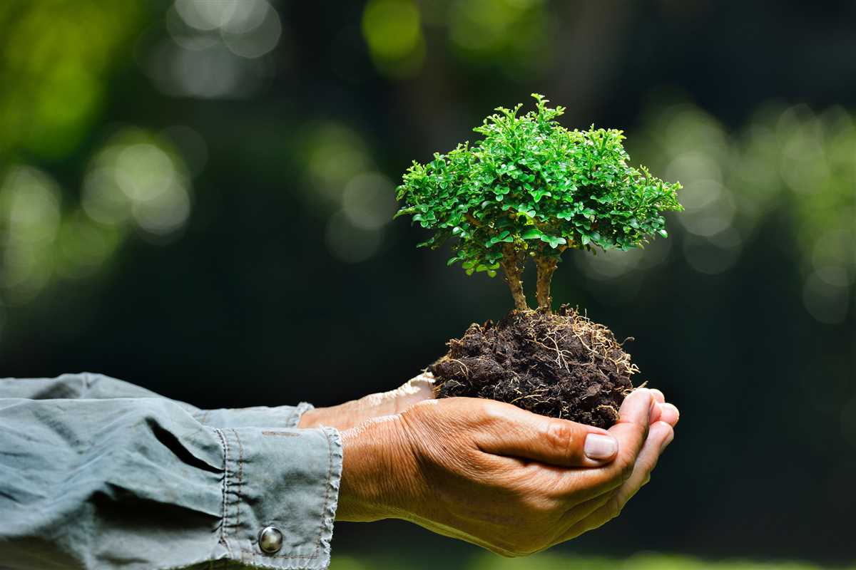2. Environmental Education and Awareness