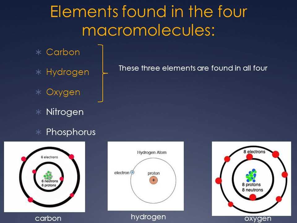 Lipids