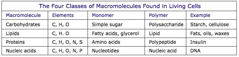 Unlocking the Secrets: Decoding Elements and Macromolecules in Organisms Elements and macromolecules in organisms worksheet answers