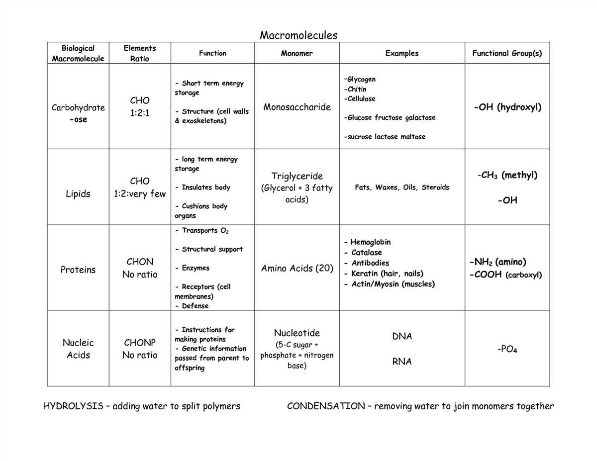 Lipids: the energy storage molecules
