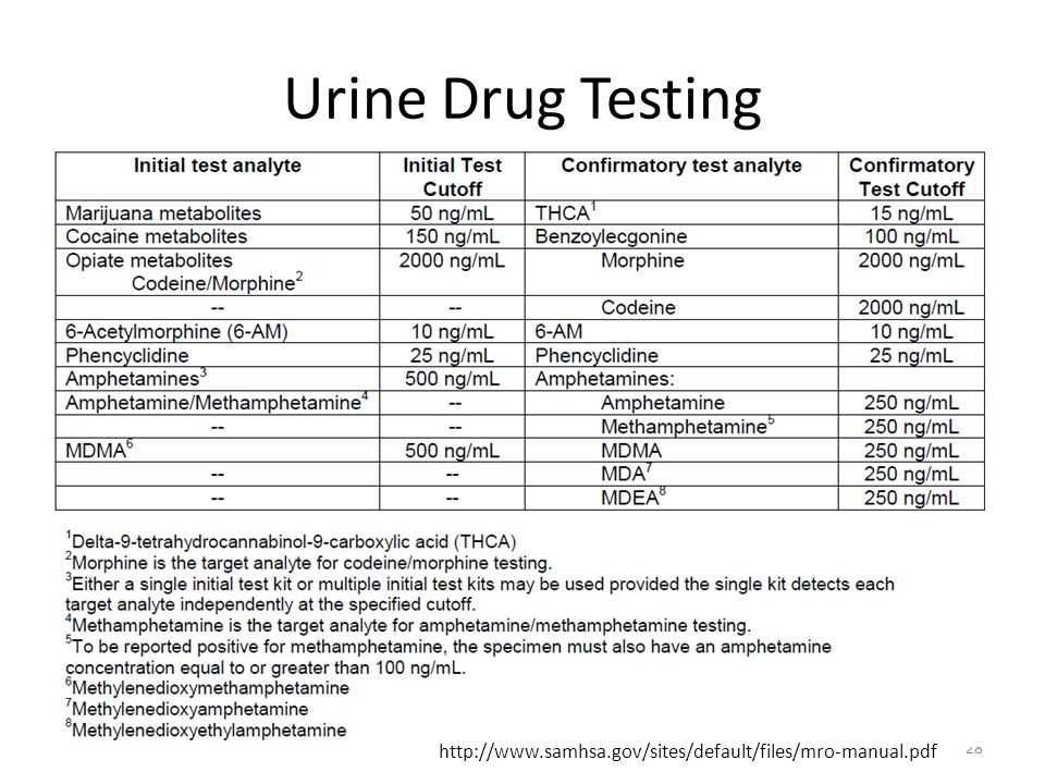 Florida drug and alcohol test answers 2026