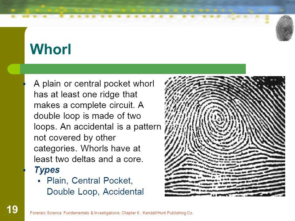 Chapter 3 Review Answers: Understanding Crime Scene Sketches