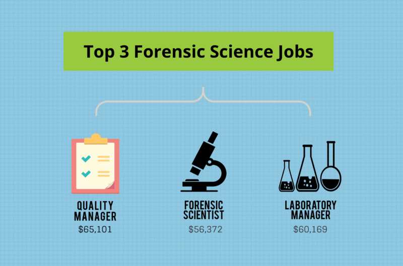 Uncovering the Answers: A Comprehension Review of Chapter 3 in Forensic Science Fundamentals and Investigations undefinedKey Elements of a Comprehensive Crime Scene Sketch:</strong>“></p>
<ul>
<li><em>Scale:</em> The sketch should include a scale that accurately represents the measurements of the crime scene. This allows investigators to understand the relative distances between objects and accurately recreate the scene.</li>
<li><em>Orientation:</em> The sketch should clearly indicate the cardinal directions (north, south, east, west) and any other reference points necessary for proper orientation. This helps investigators understand the position and relationship of objects within the scene.</li>
<li><em>Boundaries:</em> The sketch should clearly define the boundaries of the crime scene. This includes walls, doors, windows, and any other significant physical barriers. It helps establish the overall layout and dimensions of the scene.</li>
<li><em>Measurements:</em> Accurate measurements of key objects and distances within the crime scene should be included. This allows investigators to determine the exact locations of evidence and identify potential relationships between objects.</li>
<li><em>Objects of interest:</em> All relevant objects, evidence, and points of interest within the crime scene should be clearly marked and labeled. This includes the location of bodies, weapons, bloodstains, and any other pertinent details.</li>
<li><em>Legend:</em> A legend or key should be included to explain symbols, labels, and other notations used in the sketch. This ensures that anyone viewing the sketch can understand the information being conveyed.</li>
<li><em>Additional Notes:</em> Any additional information or observations that are relevant to the crime scene should be documented in the sketch. This can include details about lighting conditions, physical conditions, or other factors that may impact the investigation.</li>
</ul>
<p>A comprehensive crime scene sketch allows investigators to accurately portray the scene and aids in the organization and analysis of evidence. It provides a visual representation of the crime scene and can be used to assist in the reconstruction of events. By including the key elements mentioned above, a thorough and precise crime scene sketch can greatly contribute to the success of a forensic investigation.</p>
<h2>Video:</h2>
<h3>Crime Scene Sketch</h3>
<p><iframe width=