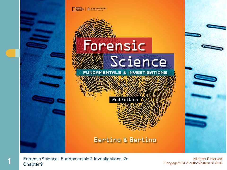 Importance of Forensic Science in Criminal Investigations