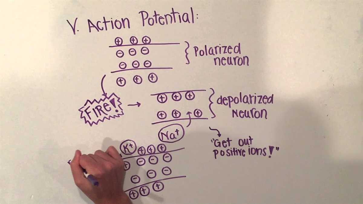 Exam Preparation