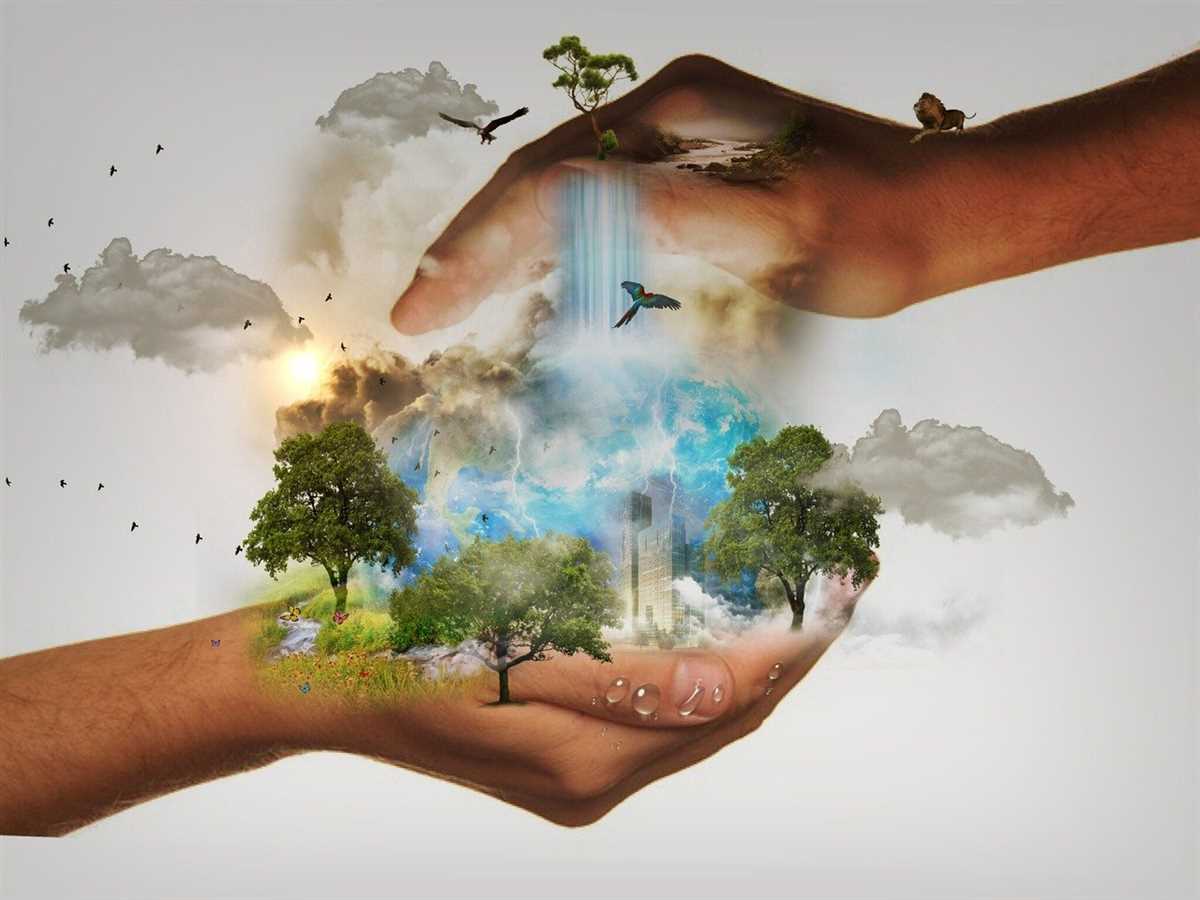 Earth environmental science released form answers