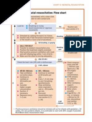 5. Simulate the Testing Environment