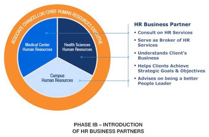 Can you give an example of a successful HR initiative you implemented?