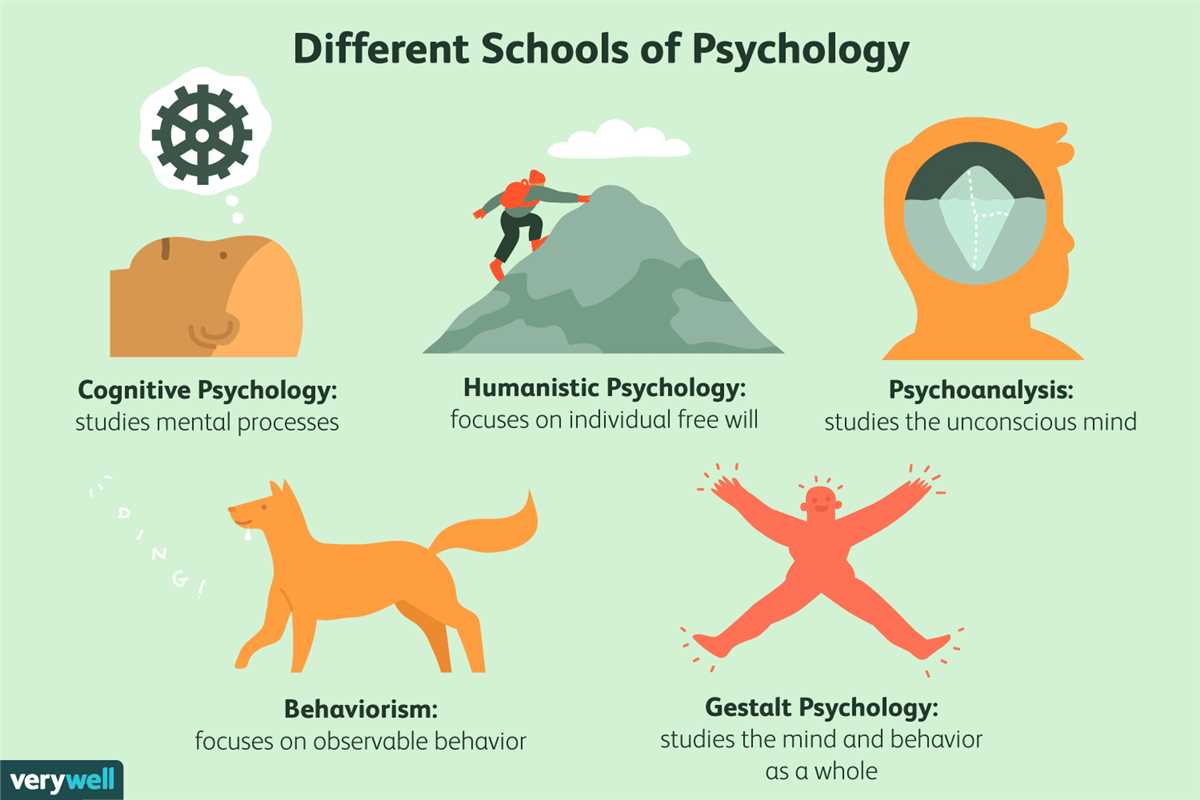 Tips for Successful Exam Preparation in Psychology