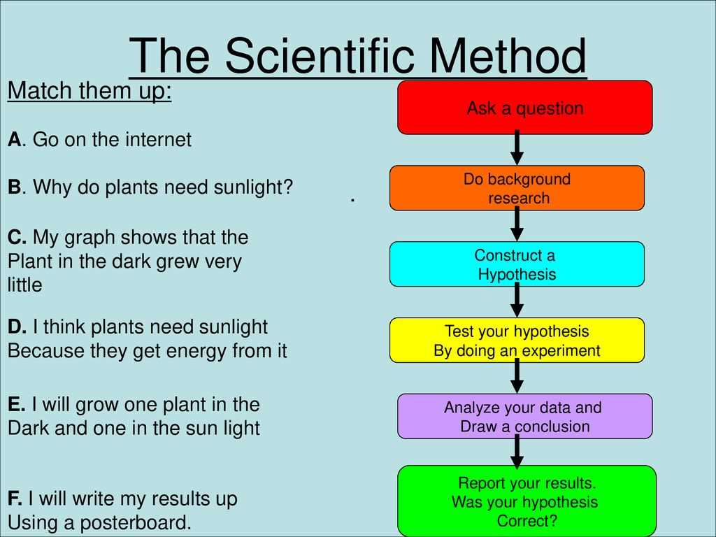 Microbial Structure and Function