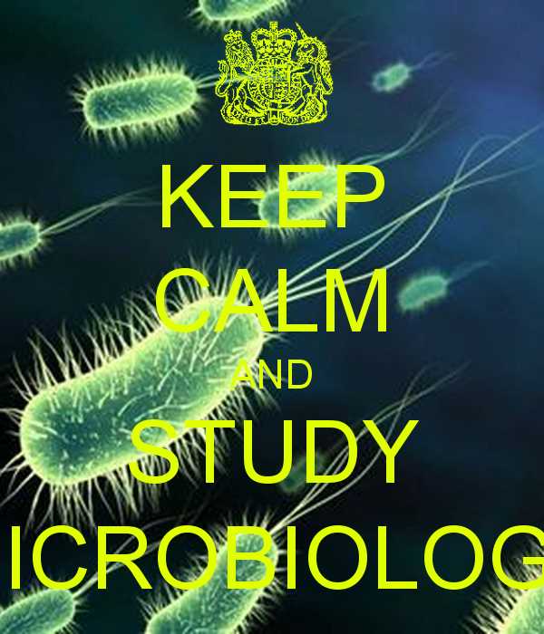 3. Describe the different types of metabolic pathways in microbial metabolism.