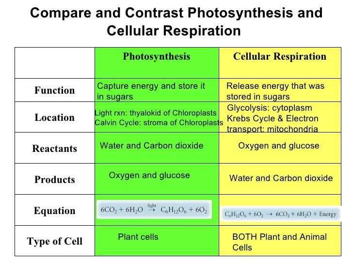 2. Chemical Bonding