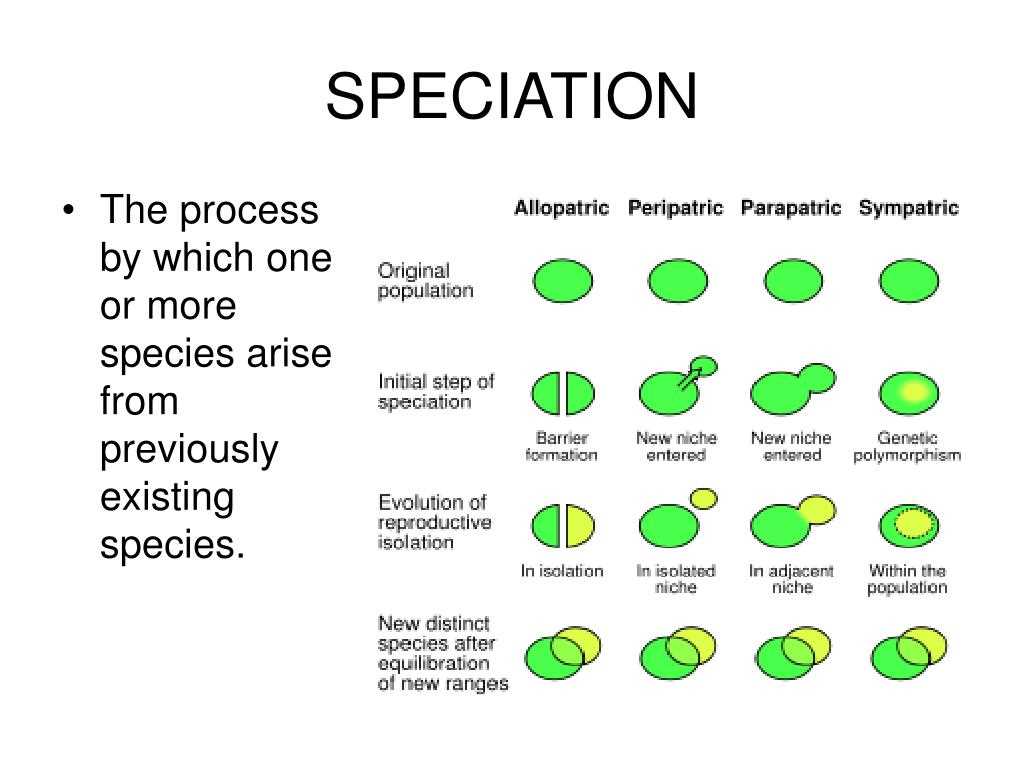 Sympatric Speciation: The Evolutionary Trigger