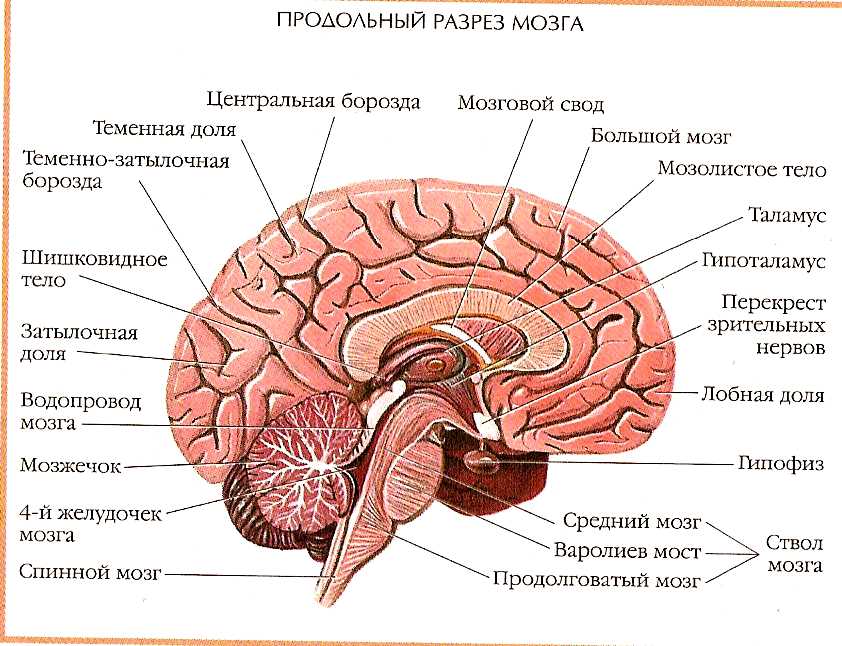 2. Integration of Systems: