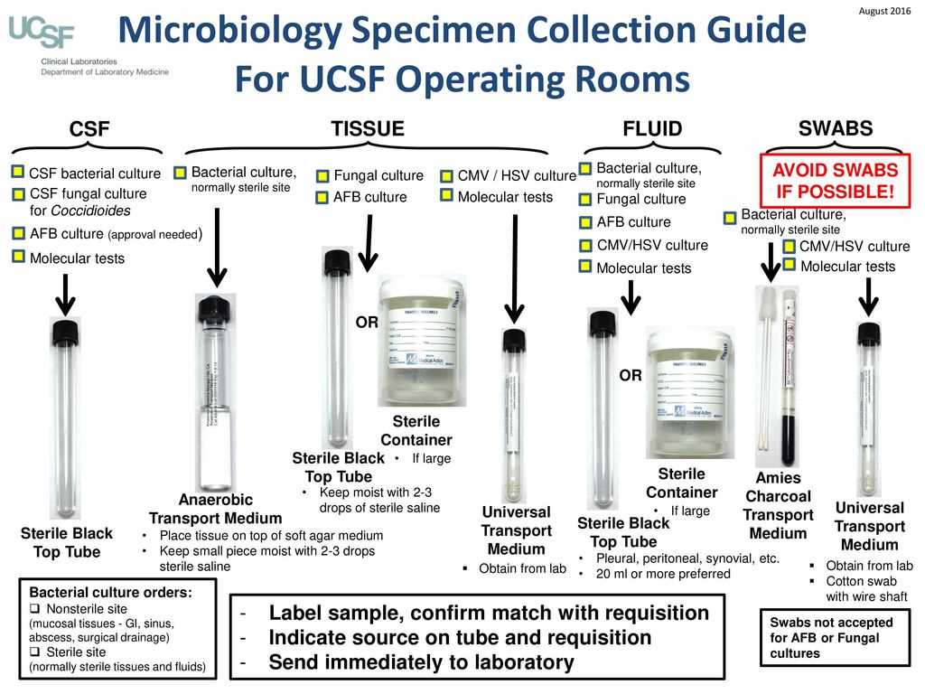 4. Explain the importance of ATP in microbial metabolism.
