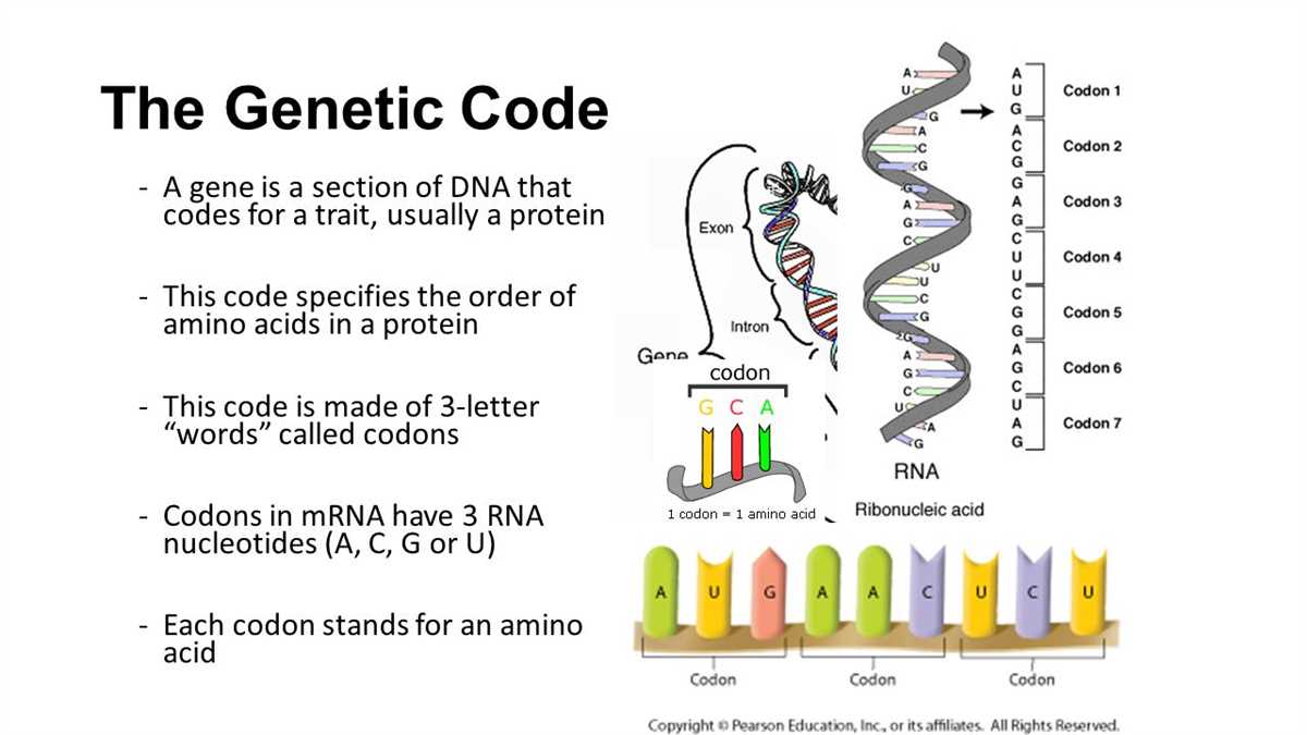 Regulation of Protein Synthesis