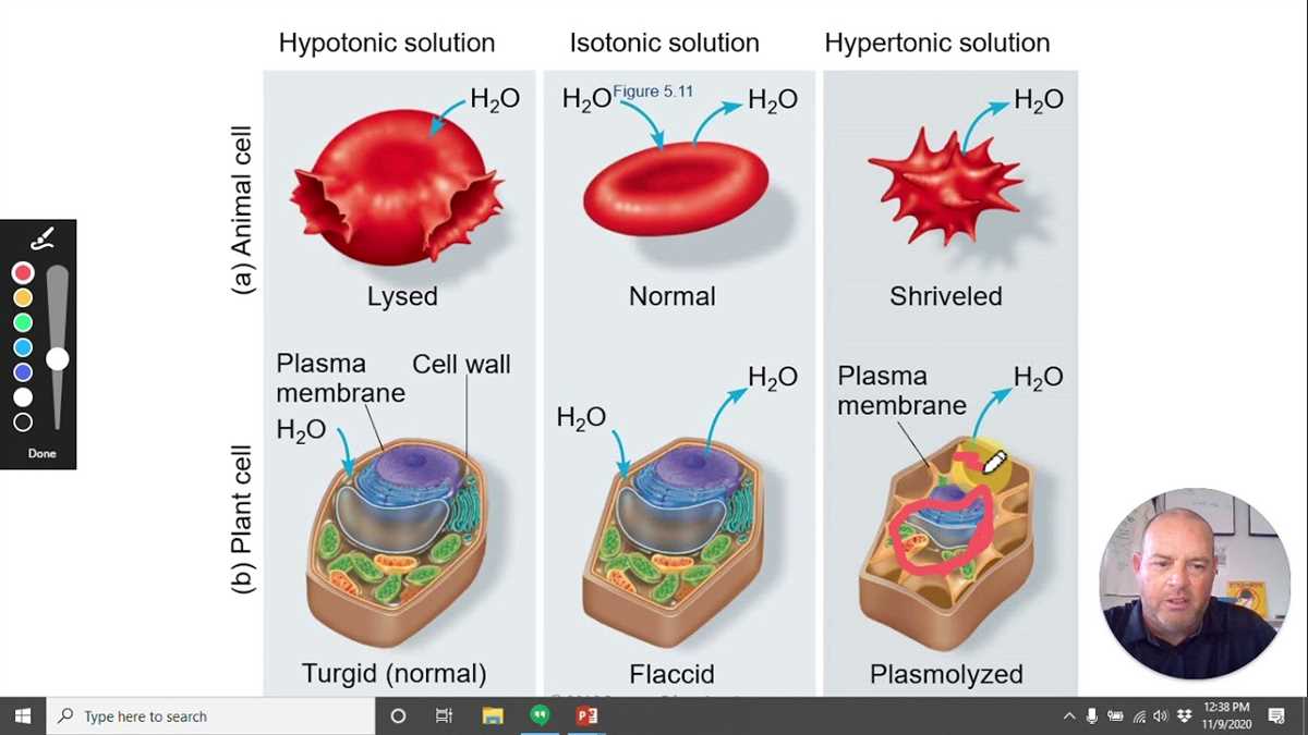 Crack the AP Biology Unit 2 Test with the Correct Answers! Ap biology unit 2 test answers