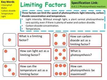 The Key to Understanding Photosynthesis: Mastering Biology Answers Mastering biology photosynthesis answers