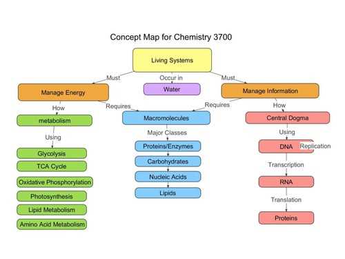 Tips for Studying and Reviewing