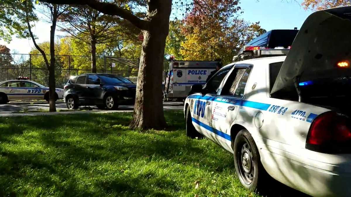 Understanding the NYPD Written Exam