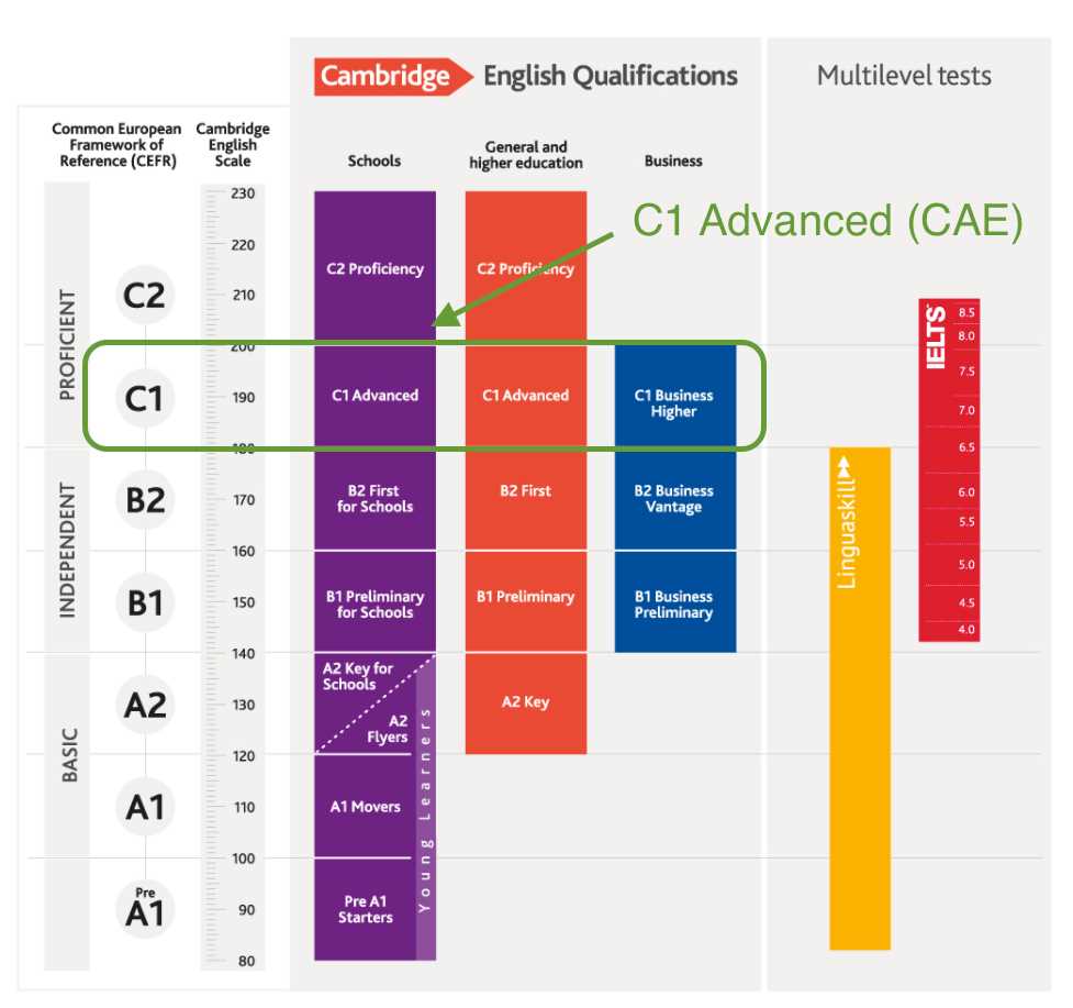 Tips for Success in NYU Foreign Language Proficiency Exam