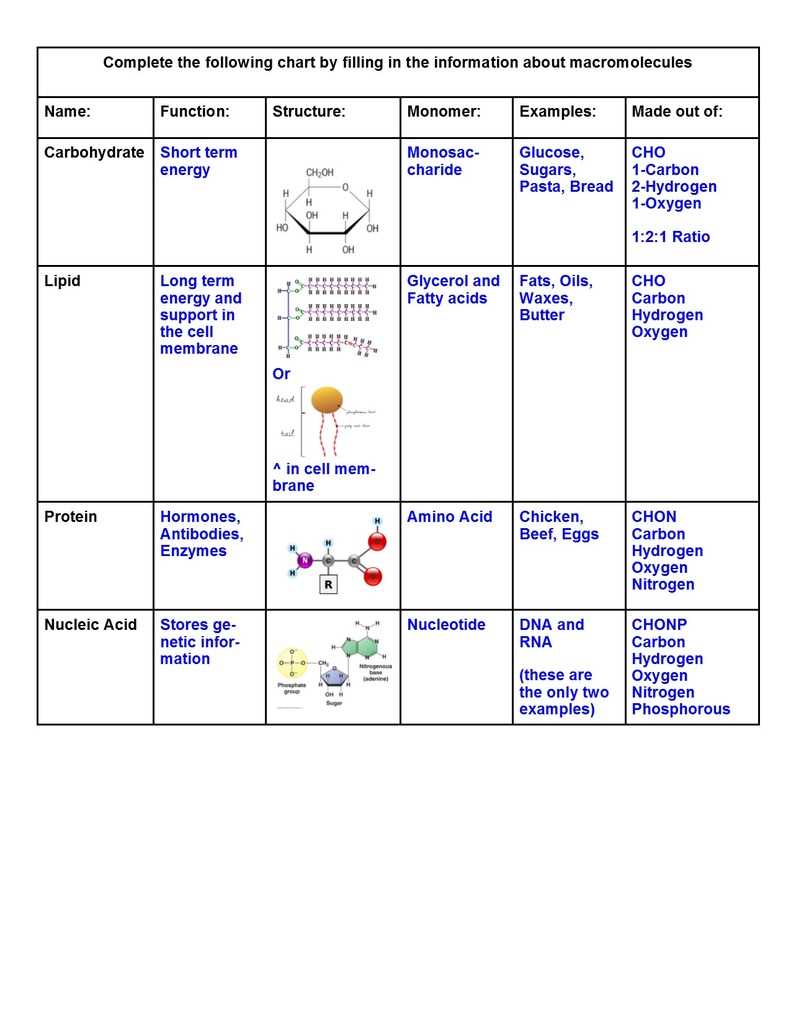 Nucleic Acids: the information carriers