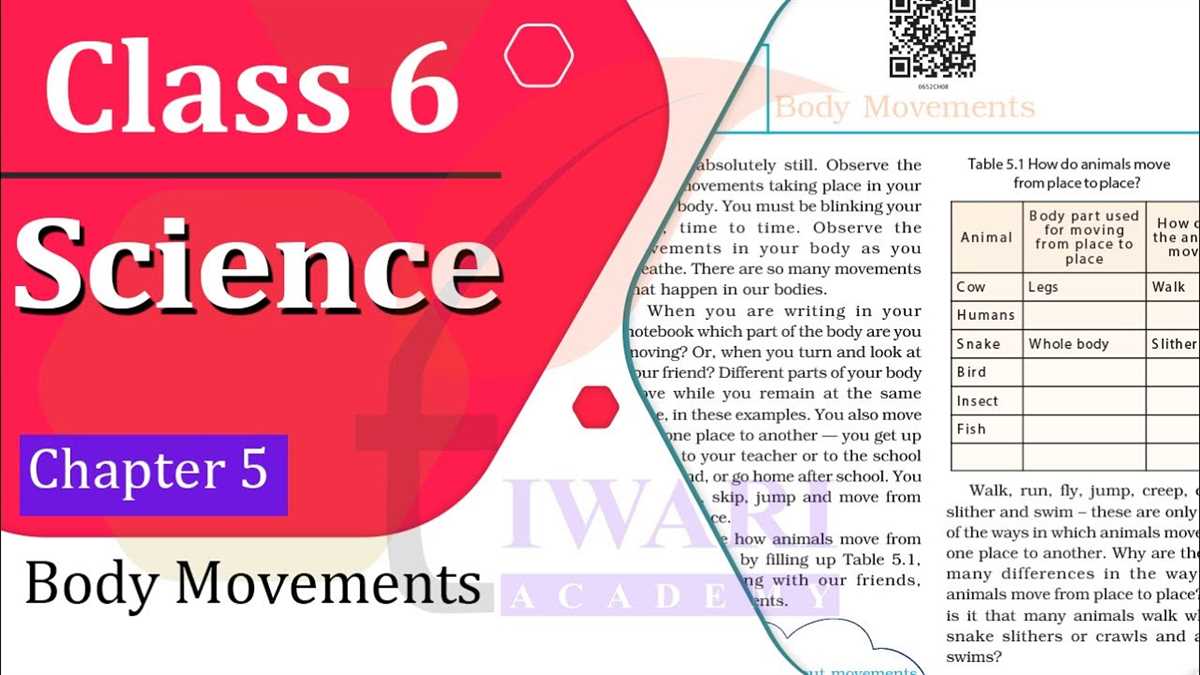 Discover the correct answers to the Physical Science Chapter 5 Test Physical science chapter 5 test answers