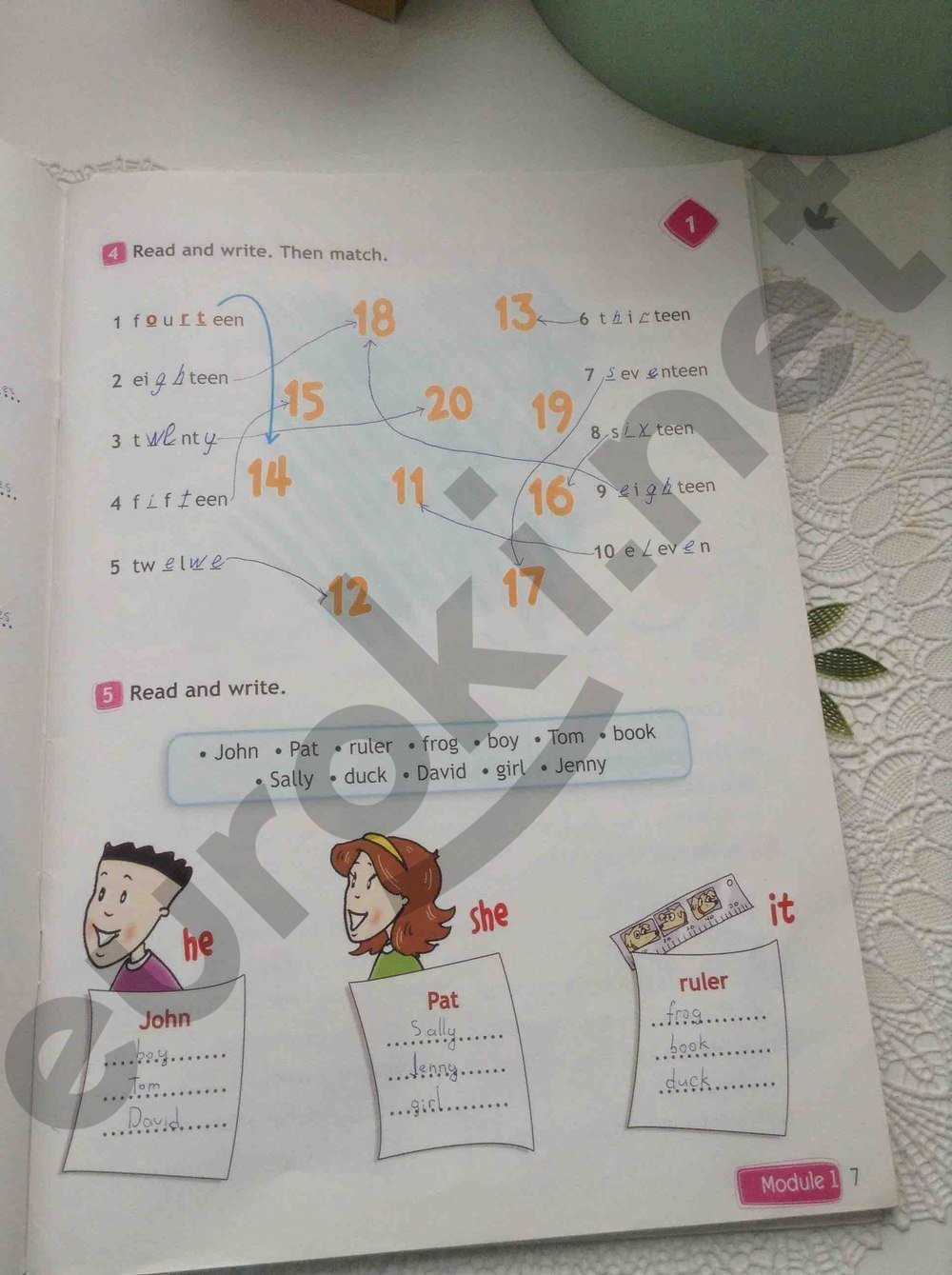 Where to Find Platoweb English 3 Answers?