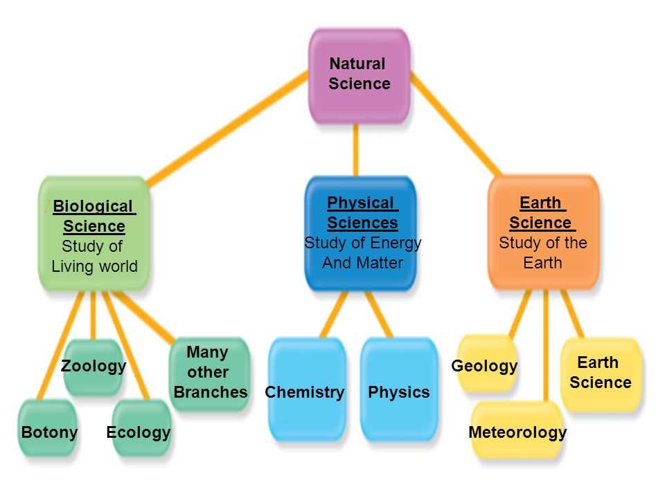 Ple platoweb physical science answers