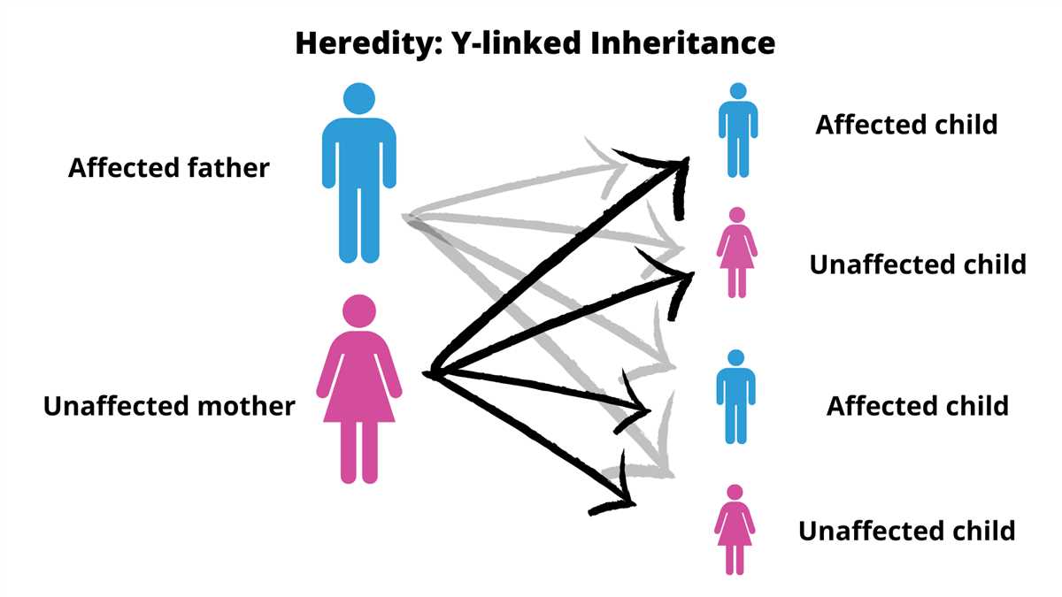 Genetic Mutations