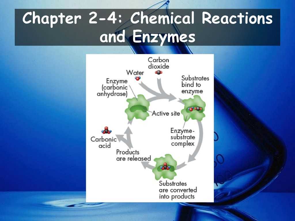 Prentice hall biology chapter 4 assessment answers