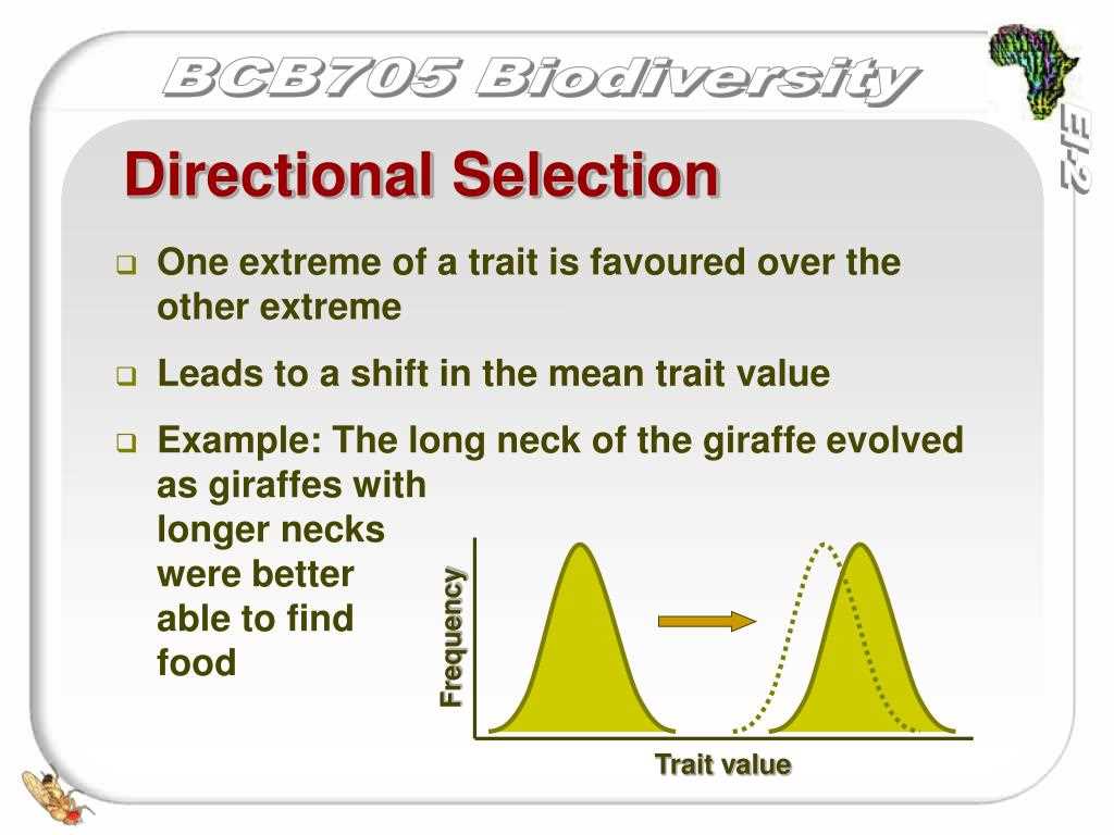 Evidence of Selection and Speciation in the Fossil Record