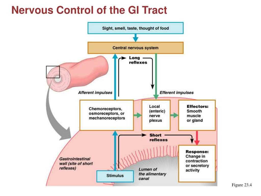 The key interactions between different systems include: