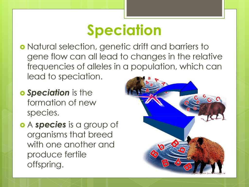 Sexual Selection and its Influence on Speciation