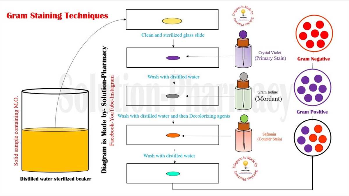 Understanding Microbiology Lab Techniques