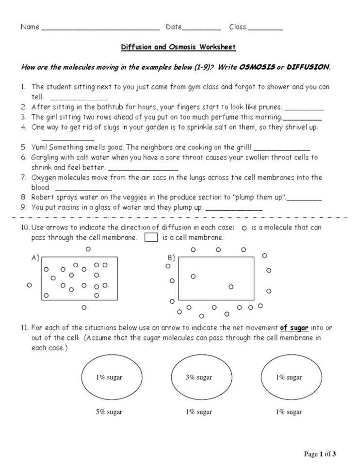 5. Can you provide an example of osmosis and diffusion in everyday life?
