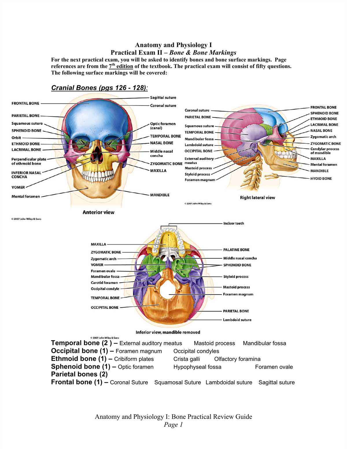Importance of Anatomy