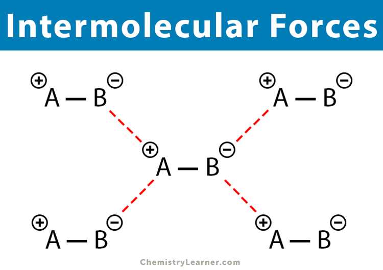 The Importance of Studying Intermolecular Forces