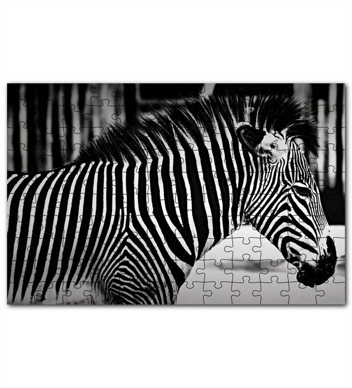 Section 3: Controversies Surrounding the Zebra Puzzle Answer