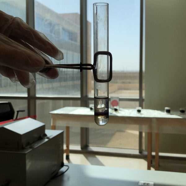 3. Measuring Enzyme Activity