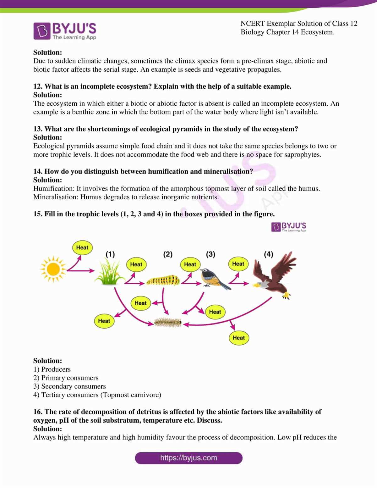 5. What is the role of DNA in inheritance?